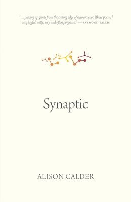 Synaptic 1