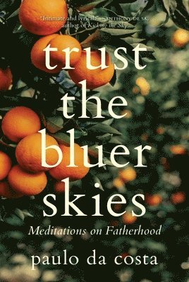 Paulo Da Costa - Trust the Bluer Skies, Inbunden