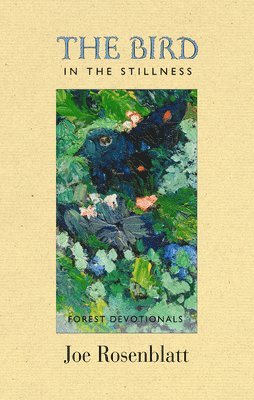 Joe Rosenblatt - The Bird in the Stillness, Häftad