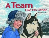 bokomslag A Team Like No Other