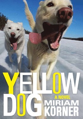 Yellow Dog 1