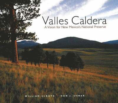 Valles Caldera 1