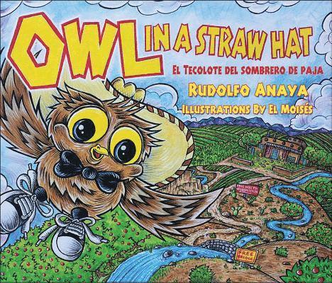 Owl in a Straw Hat 1