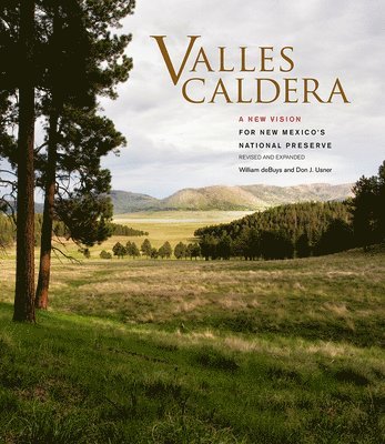 bokomslag Valles Caldera
