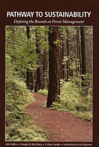 bokomslag Pathway to Sustainability