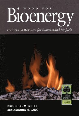 bokomslag Wood for Bioenergy