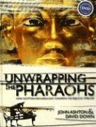 bokomslag Unwrapping the Pharaohs