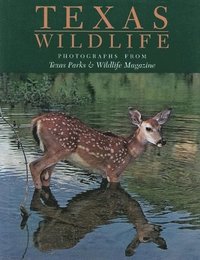 bokomslag Texas Wild Life