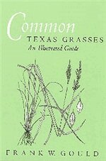 Frank W. Gould, Stephan L. Hatch - Common Texas Grasses-an Illustrated Guide, Häftad