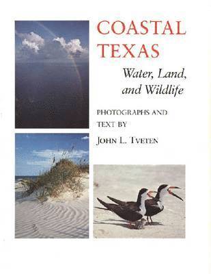 bokomslag Coastal Texas Water, Land and ... (the Louise Libndsey Merrick Texas Environ)