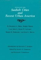 bokomslag Essays Sunbelt Cities #23