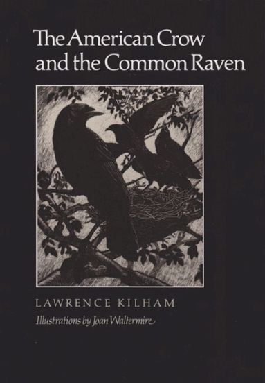 Lawrence Kilham - American Crow & Common Raven, Häftad