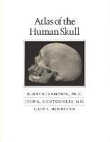 bokomslag Atlas of the Human Skull
