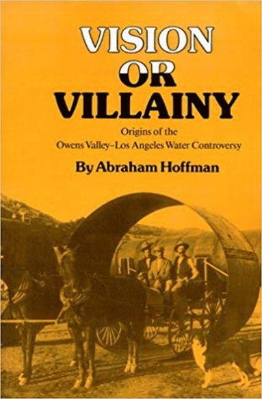 bokomslag Vision or Villainy