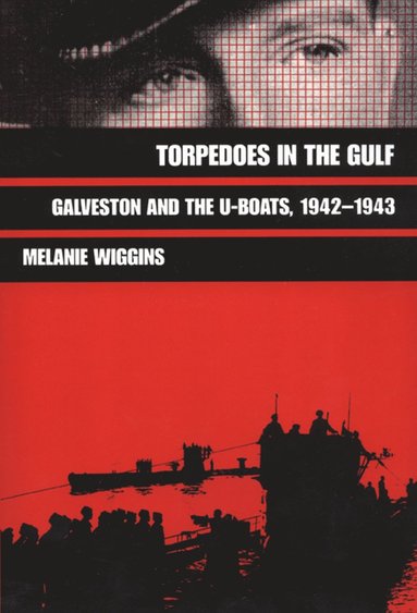 bokomslag Torpedoes in the Gulf