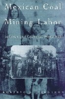 bokomslag Mexican Coal Mining Labor in Texas and Coahuila, 1880-1930