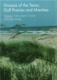 bokomslag Grasses of the Texas Gulf Prairies and Marshes Volume 24