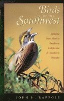 Birds of the Southwest 1