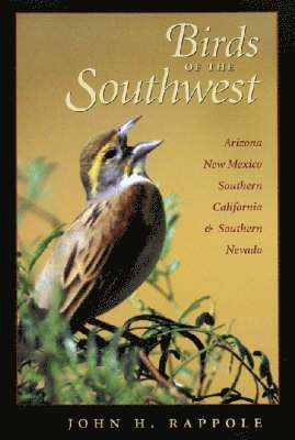 Birds of the Southwest 1