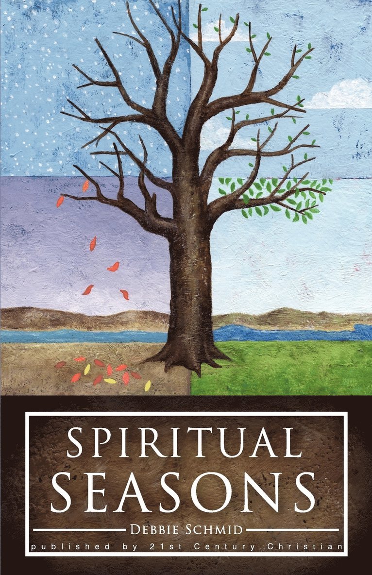 Debbie Schmid - Spiritual Seasons, Häftad
