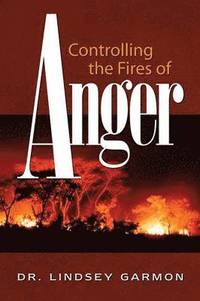 bokomslag Controlling the Fires of Anger