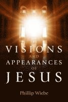 bokomslag Visions and Appearances of Jesus