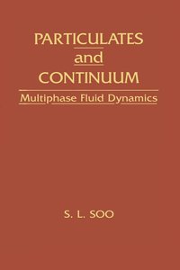 bokomslag Particulates And Continuum