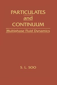 bokomslag Particulates And Continuum