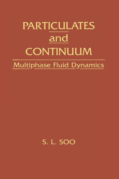 bokomslag Particulates And Continuum