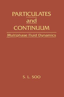 Particulates And Continuum 1