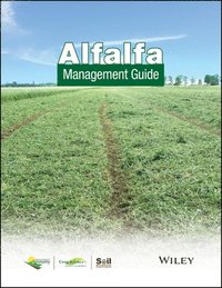 bokomslag Alfalfa Management Guide