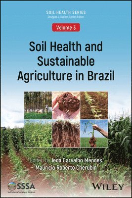 bokomslag Soil Health and Sustainable Agriculture in Brazil