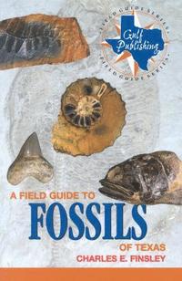 bokomslag Field Guide to Fossils of Texas