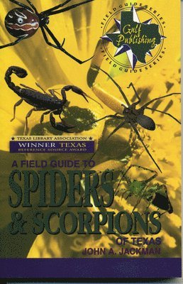 bokomslag A Field Guide to Spiders and Scorpions of Texas