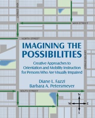 Diane L Fazzi, Barbara A Petersmey, Diane L. Fazzi, Barbara A. Petersmey - Imagining the Possibilities, Häftad