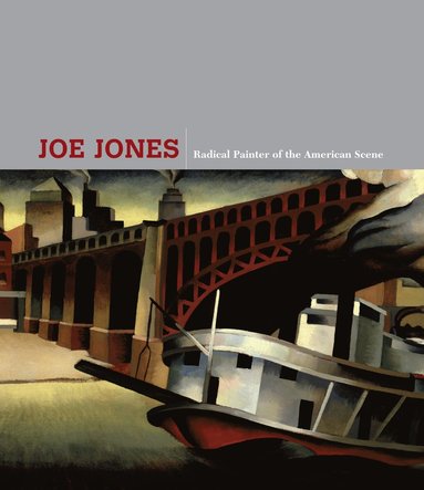 bokomslag Joe Jones