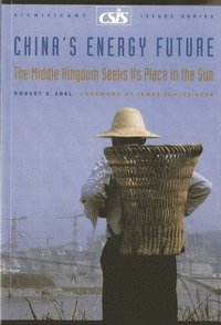 bokomslag China's Energy Future