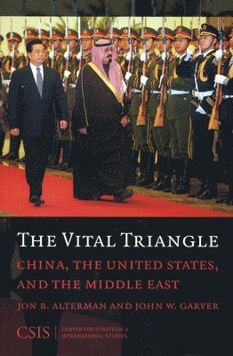 Jon B. Alterman, John W. Garver - Vital Triangle, Häftad