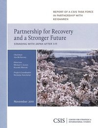 bokomslag Partnership for Recovery and a Stronger Future
