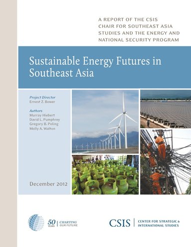 bokomslag Sustainable Energy Futures in Southeast Asia