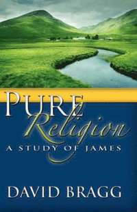 bokomslag Pure Religion