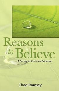 bokomslag Reasons to Believe