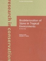 bokomslag Biodeterioration of Stone in Tropical Environments   An Overview