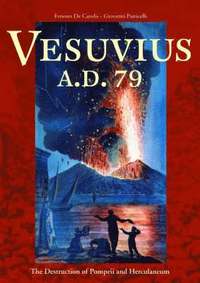 bokomslag Vesuvius A.D.79 - The Destruction of Pompeii and Herculaneum