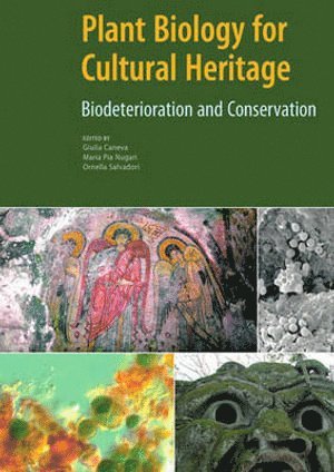 bokomslag Plant Biology for Cultural Heritage  Biodeterioration and Conservation