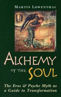 bokomslag Alchemy of the Soul
