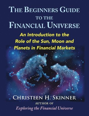 Christeen H. Skinner - Beginners Guide to the Financial Universe, Häftad