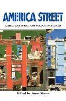 bokomslag America Street