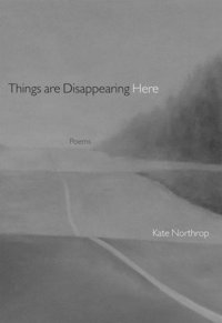 bokomslag Things Are Disappearing Here: Poems