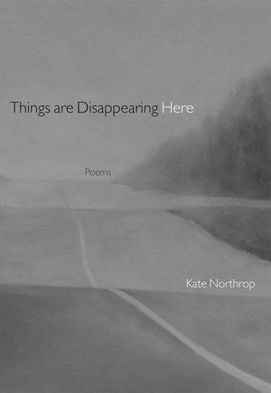 bokomslag Things Are Disappearing Here: Poems